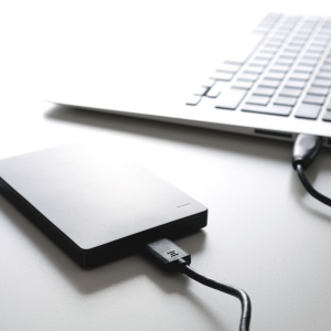 La sauvegarde locale : un classique revisité