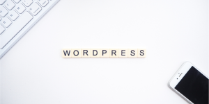 sécurité WordPress, Wordfence, 2FA, attaque par force brute, vulnérabilités, mises à jour, sauvegarde, hébergeur sécurisé
